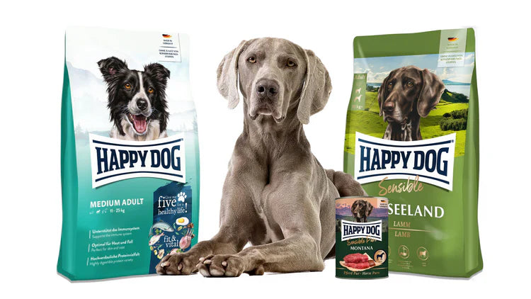 Adult Dog Food