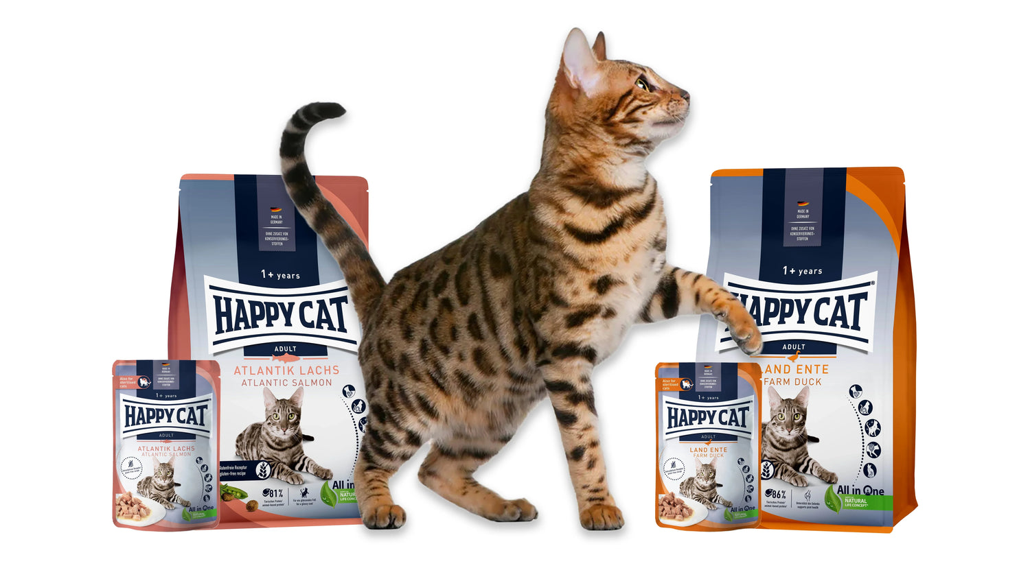 All Cat Food