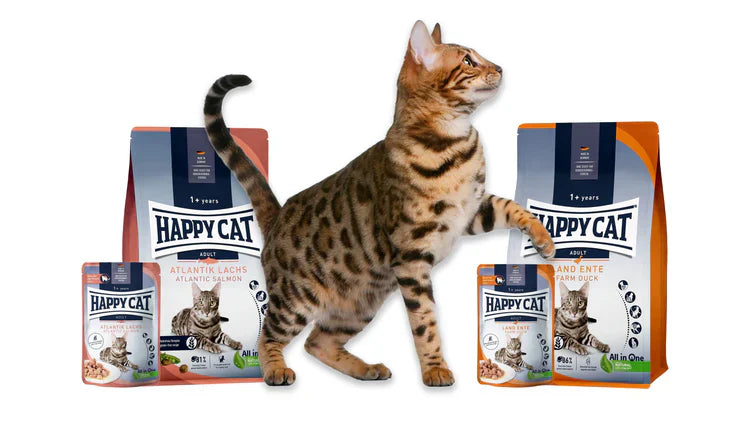Adult Cat Food