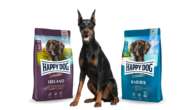 Adult Dog Food