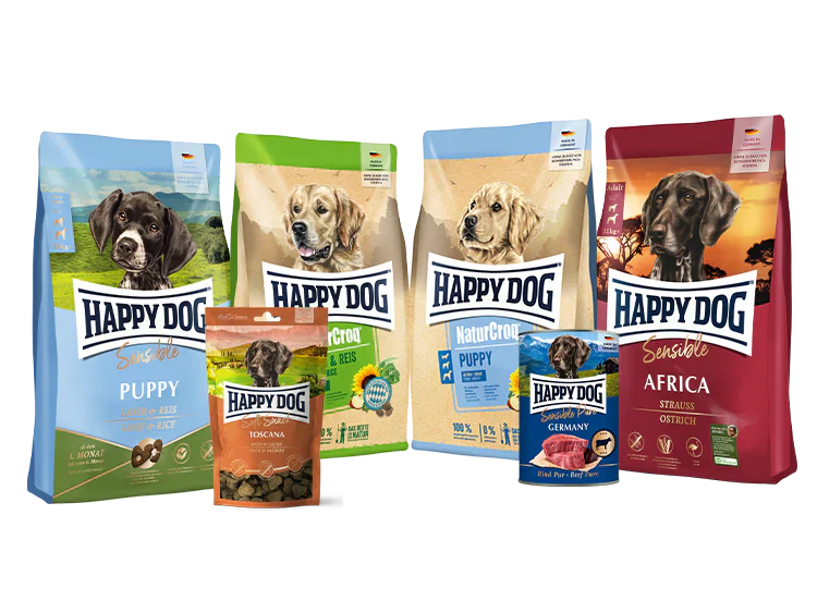 All Dog Food