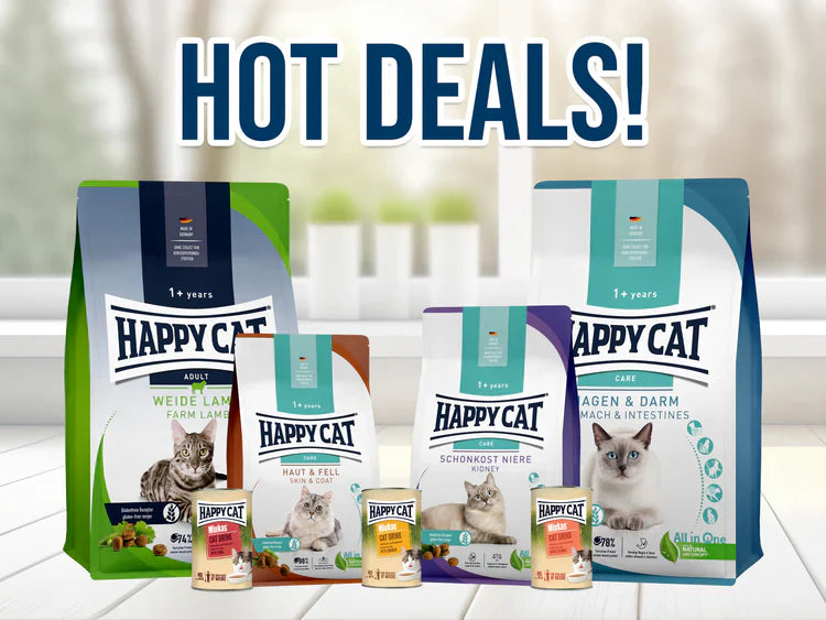 Hot Deals