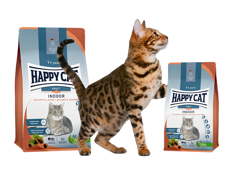 Adult Cat Food