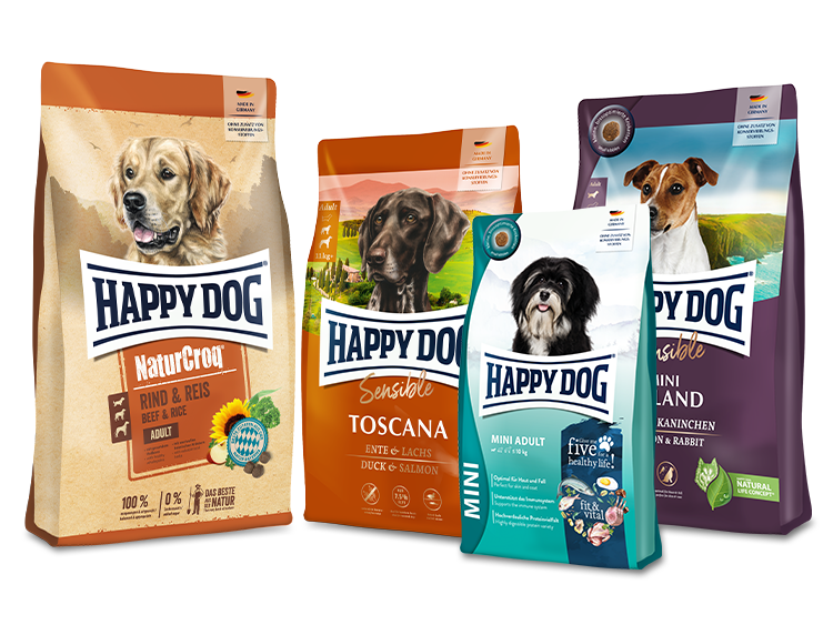 All Dog Food