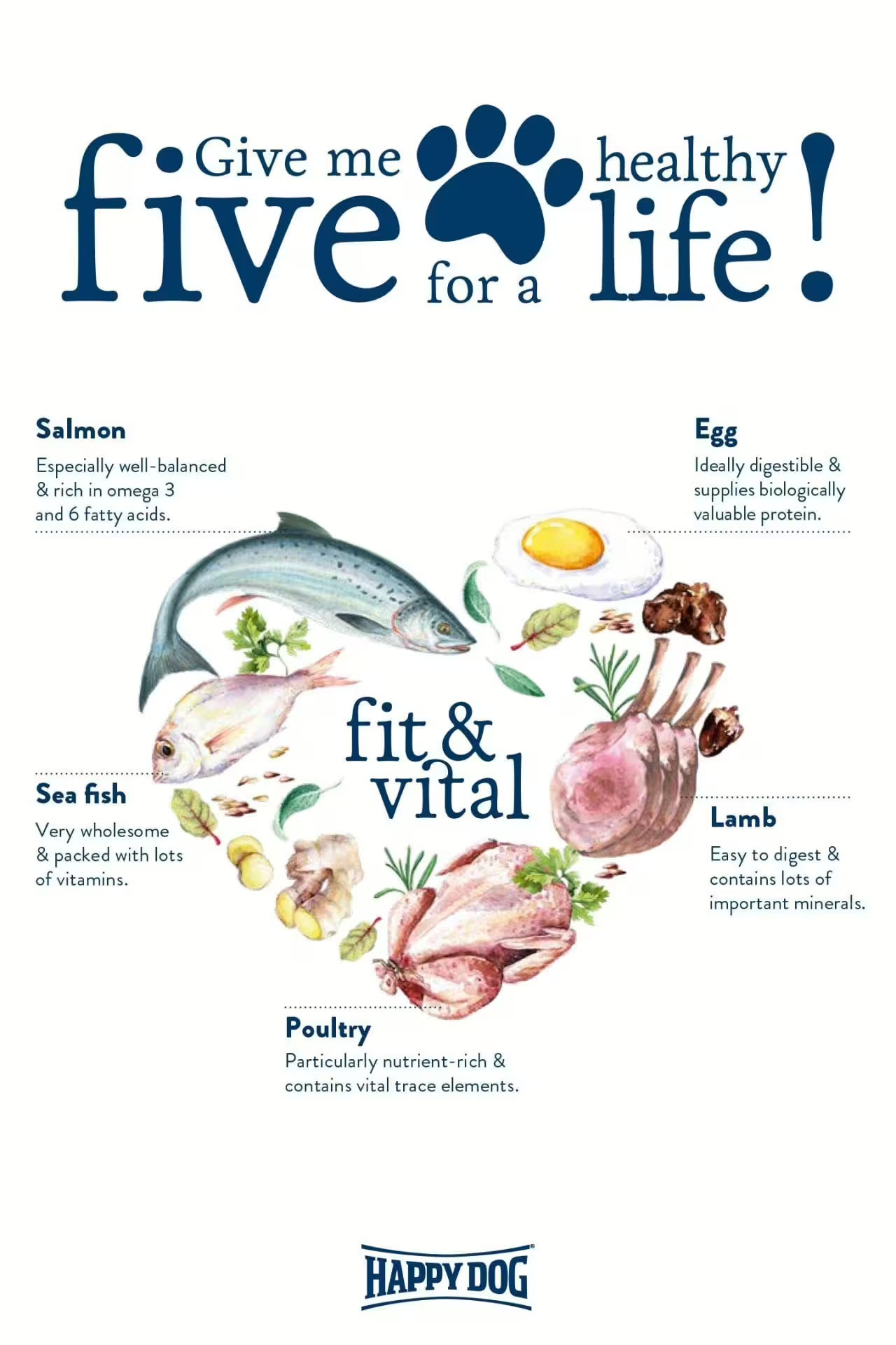 Fit &amp; Vital ลูกสุนัขพันธุ์เล็ก