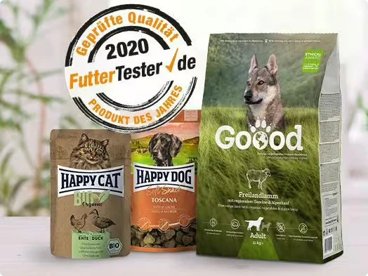 2020 - Product of the year