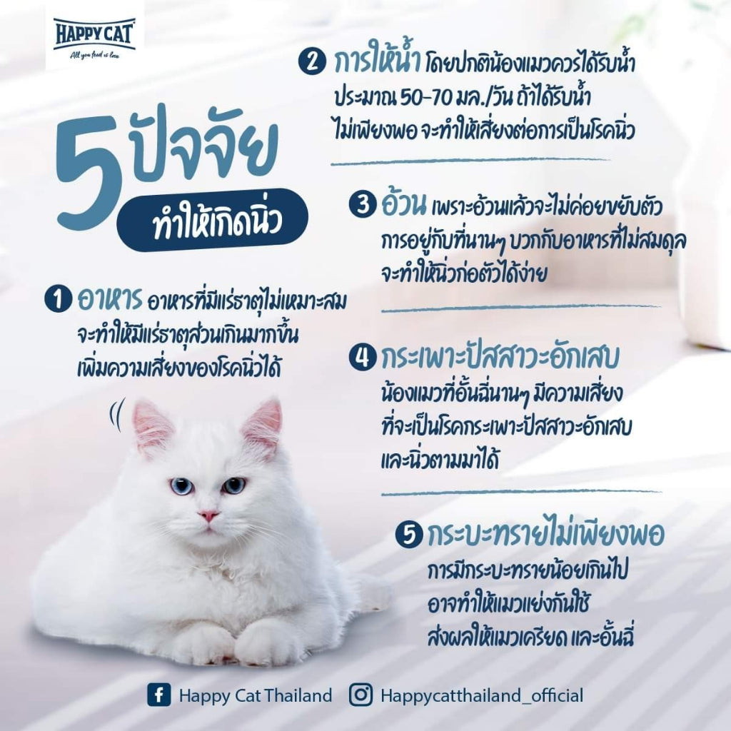 Minkas Drink Tuna flavor