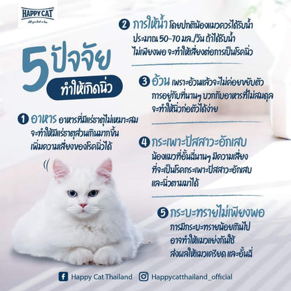 Minkas Drink Tuna flavor